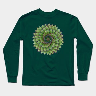 Aloe Polyphylla in Rainbow Long Sleeve T-Shirt